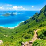 Sentier de randonnée pittoresque dans le paysage luxuriant de Tahiti.