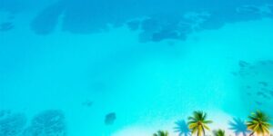 Read more about the article Trouver les meilleures plages de Tahiti avec le Pass Air Tahiti