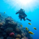 Diver exploring vibrant coral reef, tropical fish swimming.