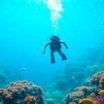 Divers explore vibrant coral reefs teeming with marine life.