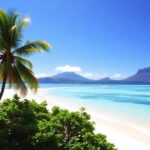 Tropical islands, palm trees, and turquoise water.