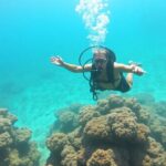 Vibrant coral reefs teeming with diverse marine life.