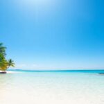 Tropical beach, clear water, palm trees, blue sky.