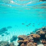 Vibrant coral reef teeming with colorful fish underwater.