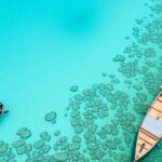 Vibrant coral reef teeming with colorful fish underwater.